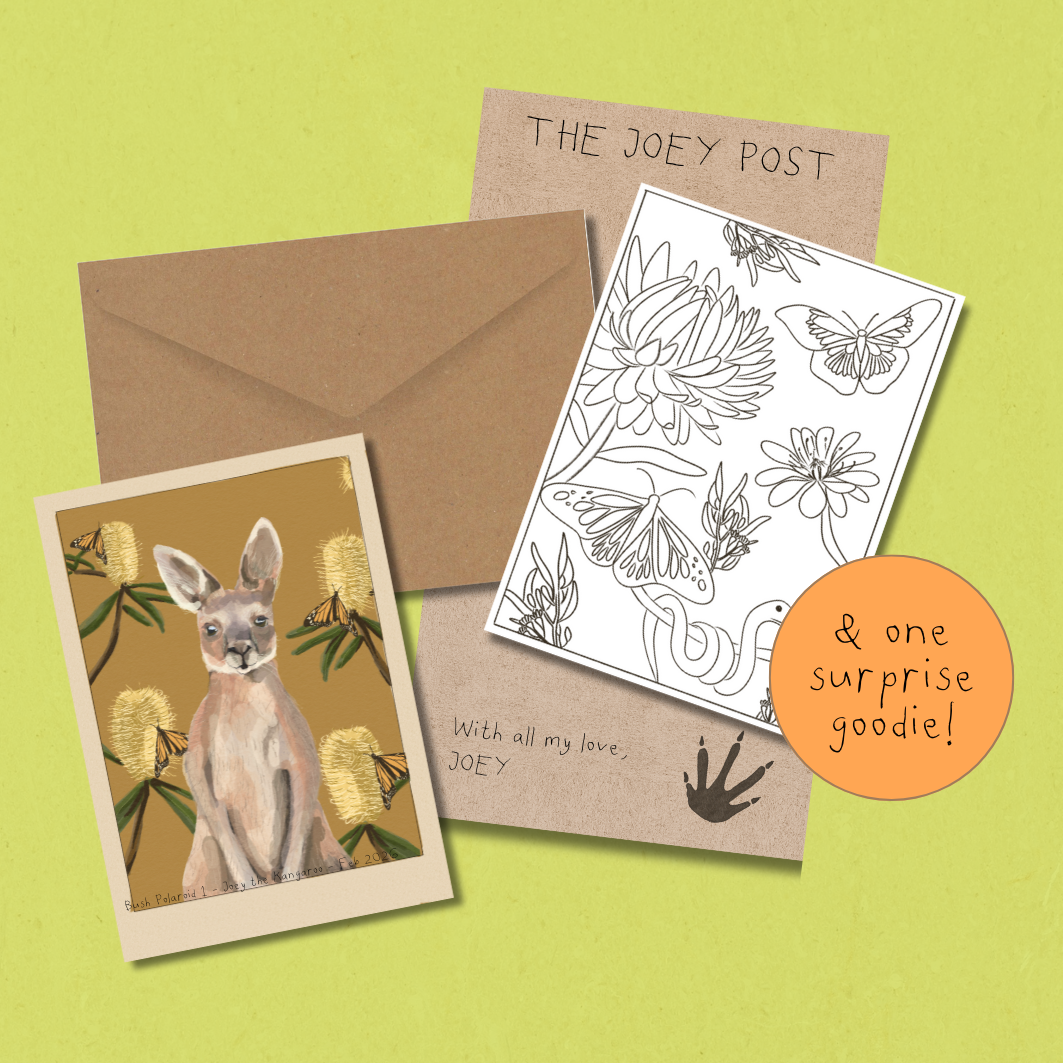 Monthly Mail Subscription