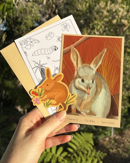 The Bilby: Edition No. 3