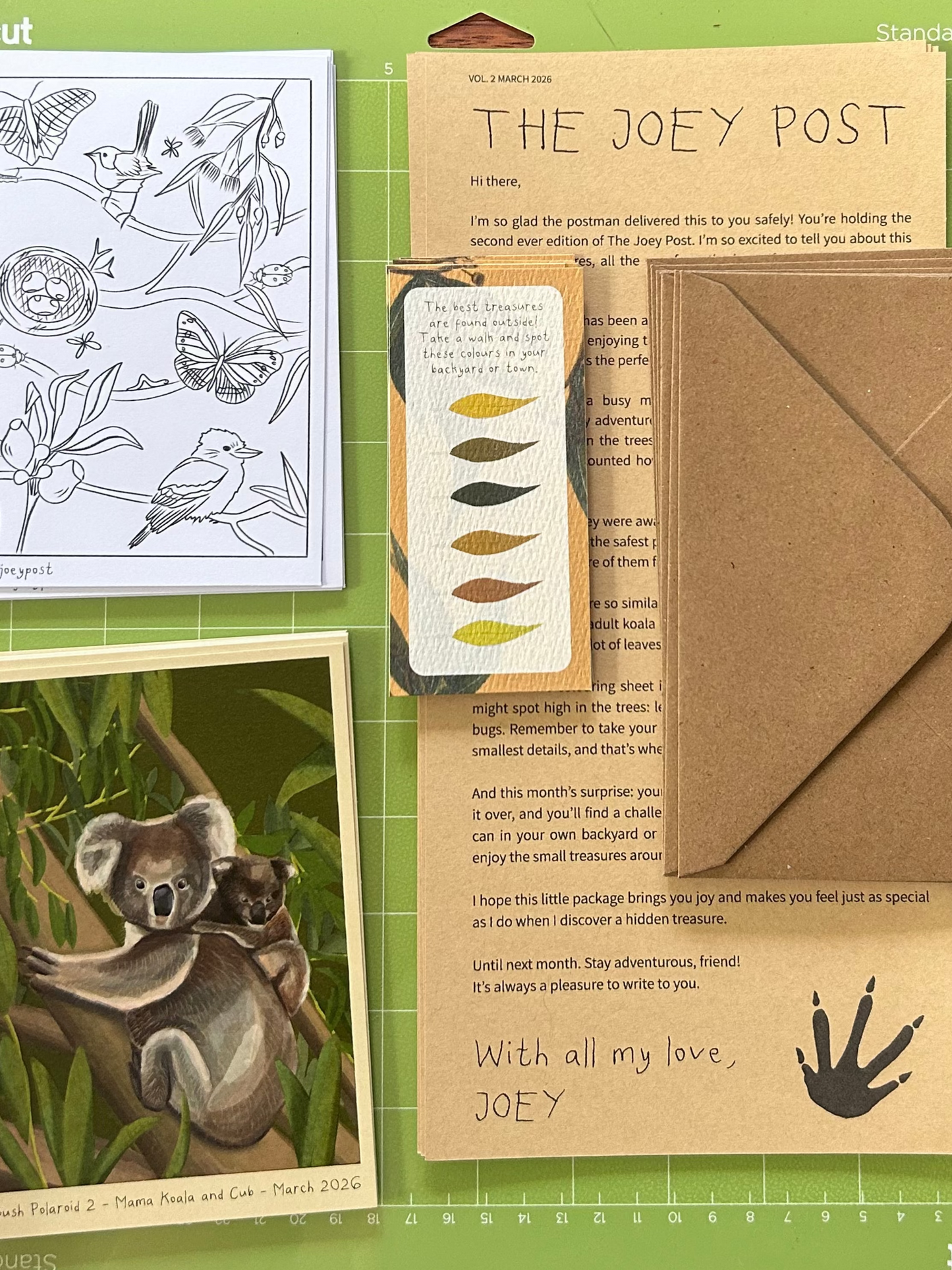 The Joey Post Monthly Mail Subscription