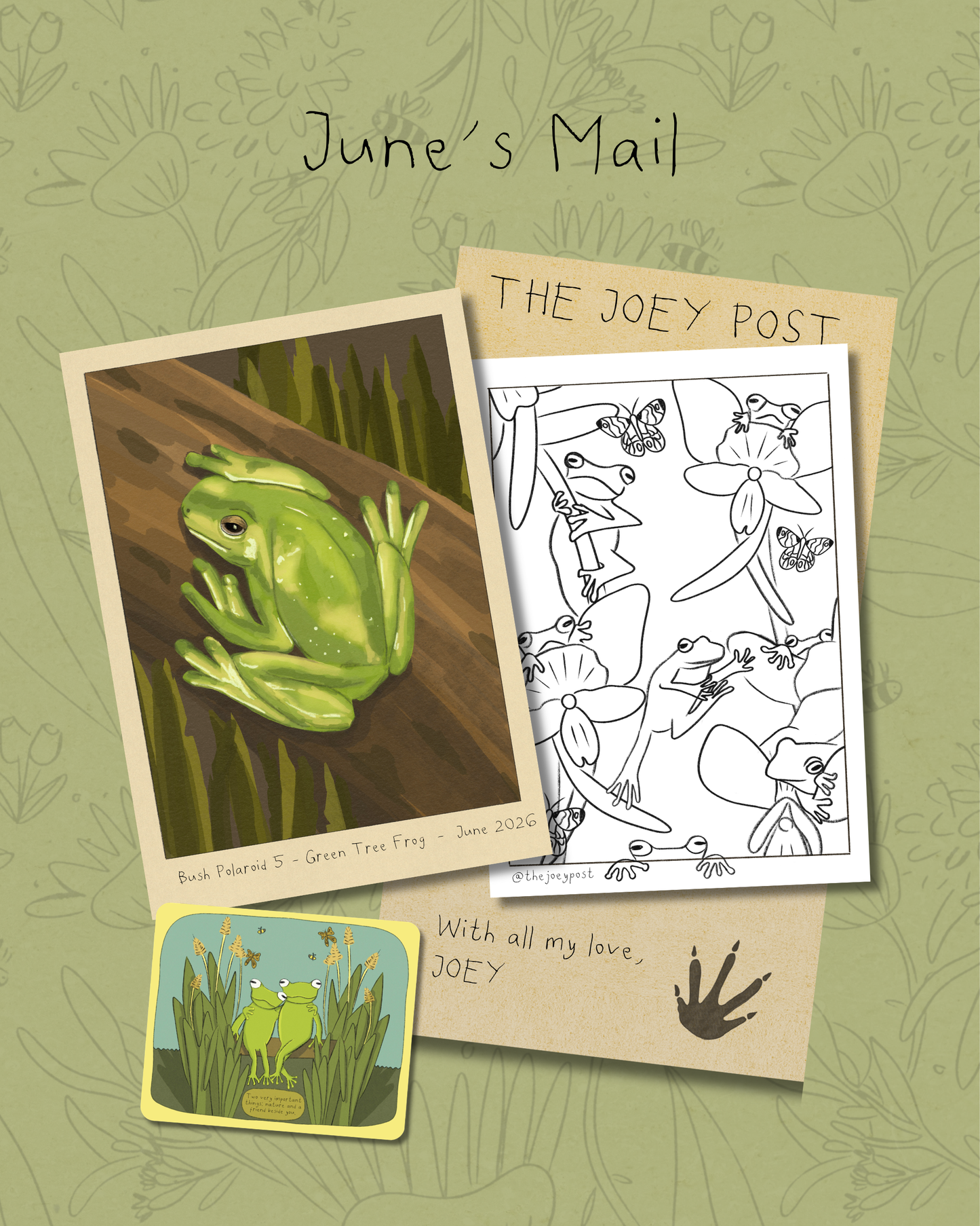 The Joey Post Monthly Mail Subscription
