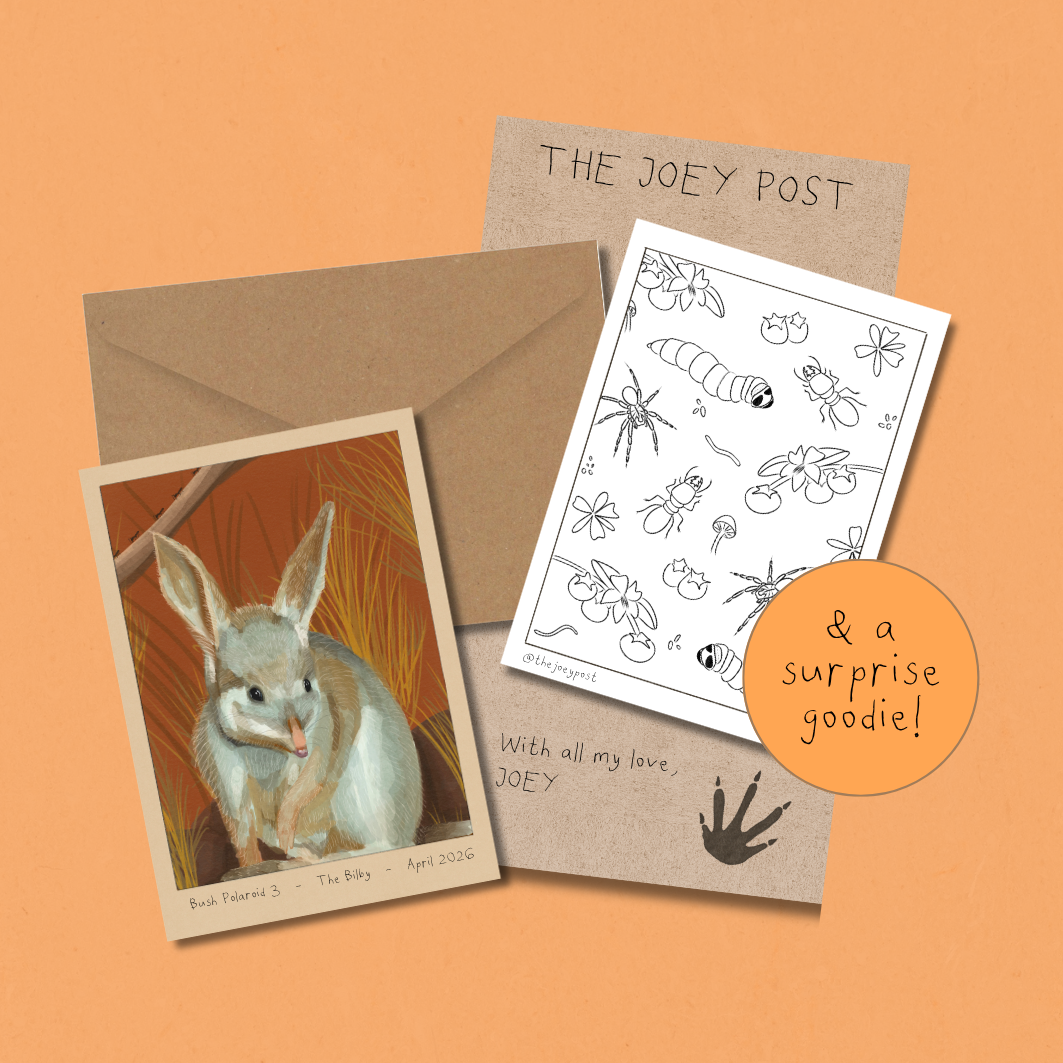 Monthly Mail Subscription – The Joey Post