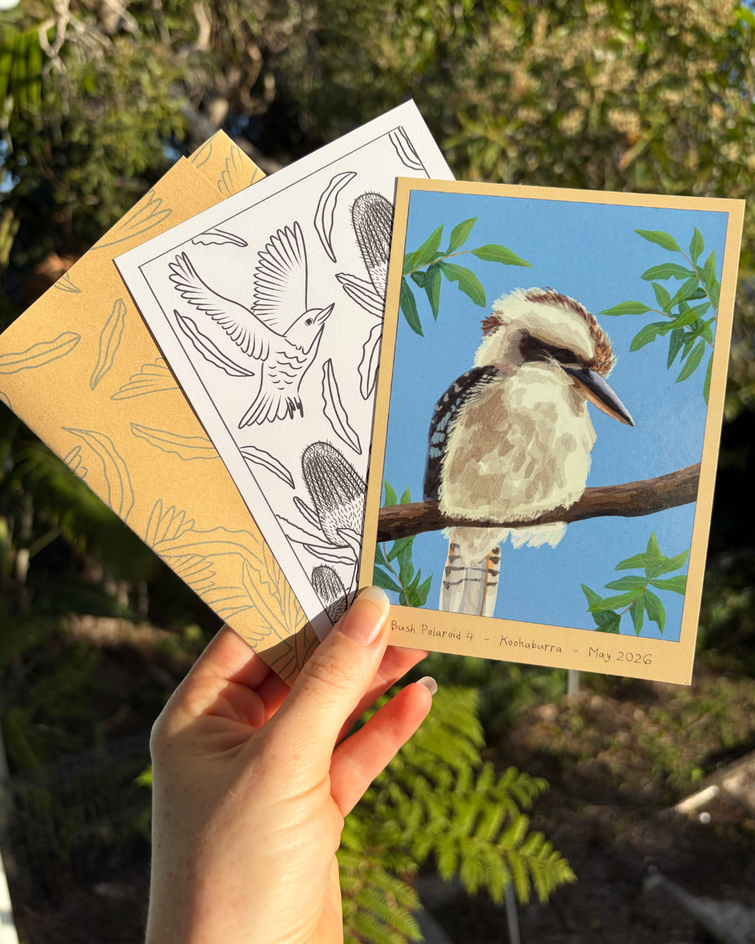 The Kookaburra: Edition No. 4